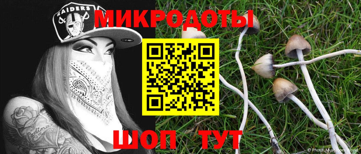 Галлюциногенные грибы Magic Shrooms  Галлюциногенные грибы Cubensis  Вход с VPN  Троицк 