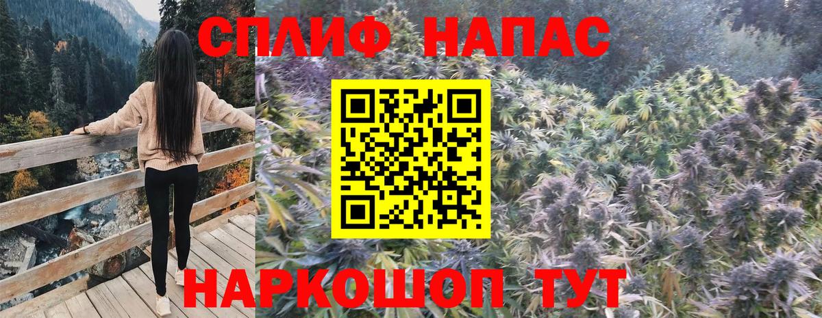 Конопля конопля Троицк